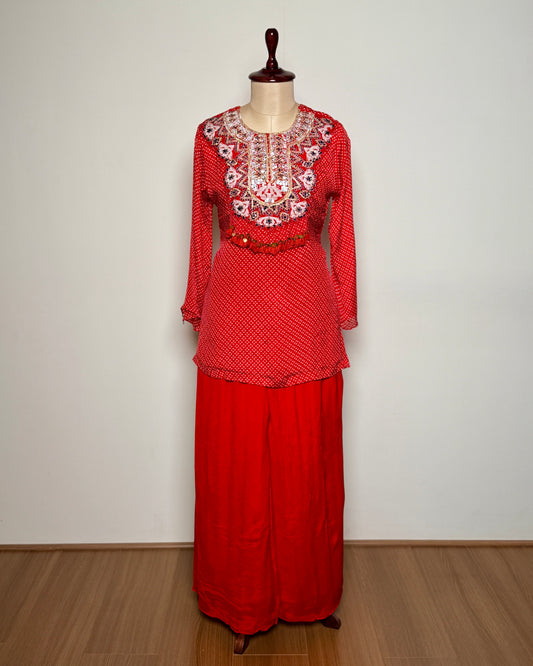 Red Georgette Thread, Mirror & Sequin Embroidered Indo-Western – SUIT / S-113 / RED R