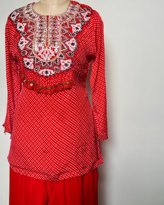 Red Georgette Thread, Mirror & Sequin Embroidered Indo-Western – SUIT / S-113 / RED R